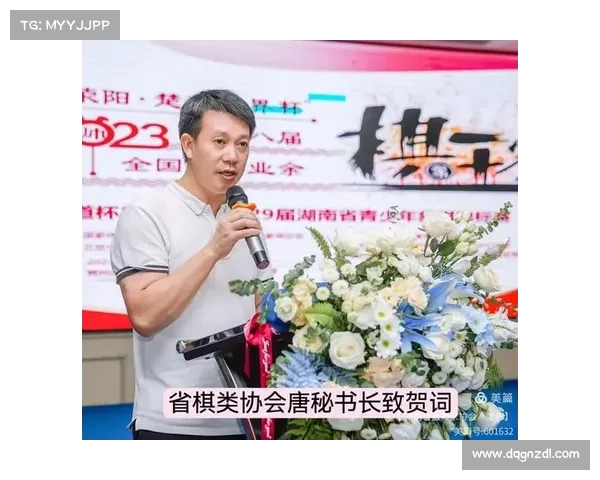 湖南象棋锦标赛